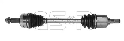 GSP 224299