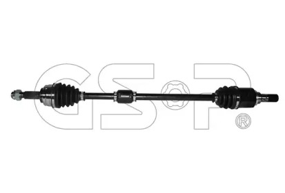 GSP 241495