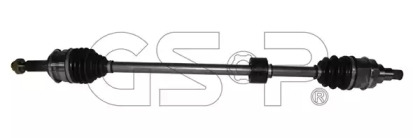 GSP 249013