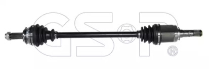 GSP 256033