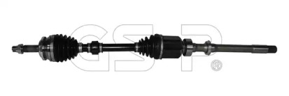 GSP 259523