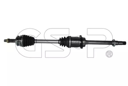 GSP 259608