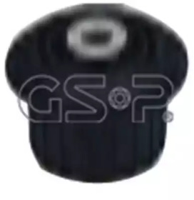 GSP 510110