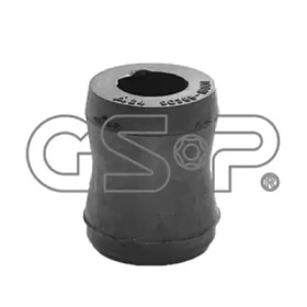 GSP 513079