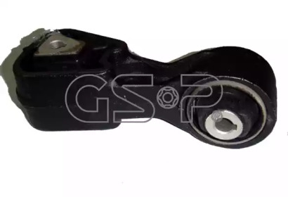 GSP 513896