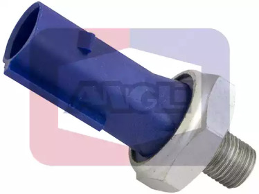 ANGLI 140010