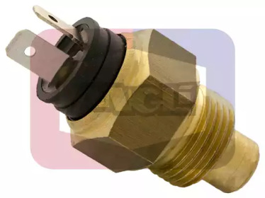 ANGLI 1728