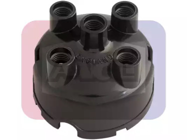 ANGLI 2428