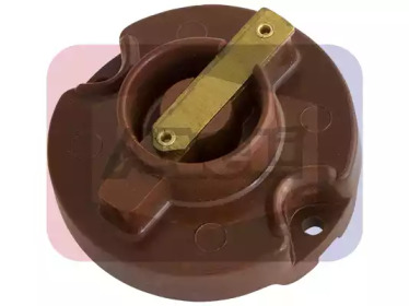 ANGLI 3049