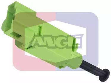 ANGLI 40102