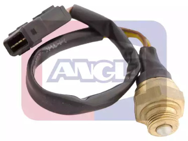 ANGLI 9207
