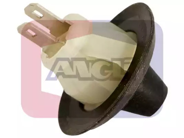 ANGLI 962