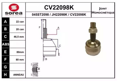 EAI CV22098K