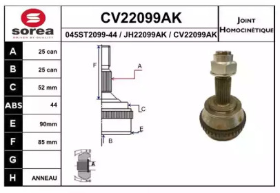 EAI CV22099AK