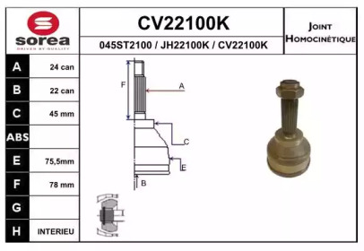 EAI CV22100K