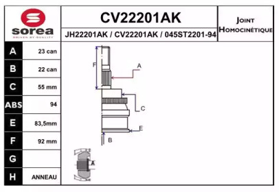 EAI CV22201AK EAI CV22201AK
