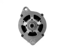 cevam 2126