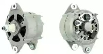 CEVAM 2429