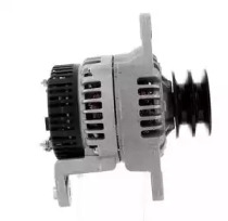 cevam 2519