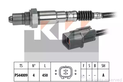 KW 498 359