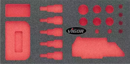 VIGOR V1654