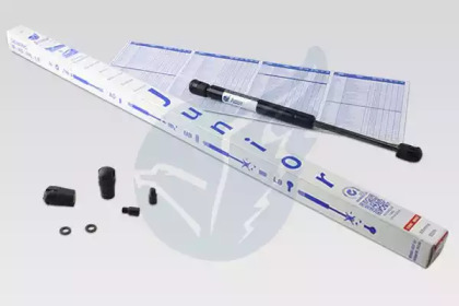 junior jb275550