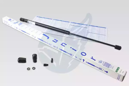 junior jb550350