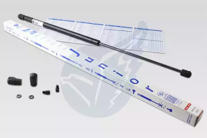 junior jb625550