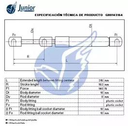 junior gh0143164