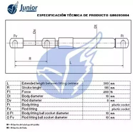 junior gh0203804