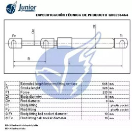 junior gh0236464