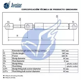 junior gh0246804