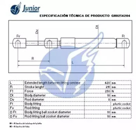 junior gh0254204