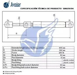 junior gh0256194