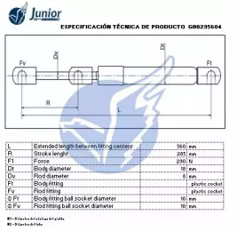 junior gh0295604