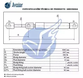 junior gh0316044