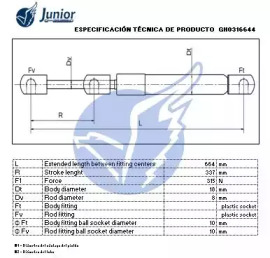 junior gh0316644