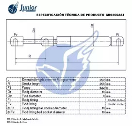 junior gh0366224