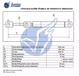 junior gh0383284