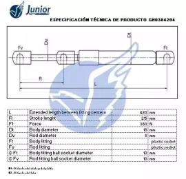 junior gh0384204