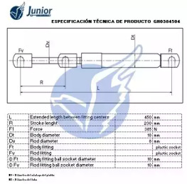 junior gh0384504