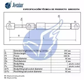 junior gh0393754