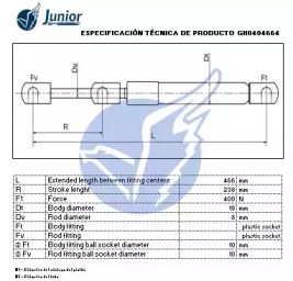 junior gh0404664