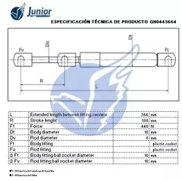 junior gh0443664
