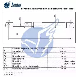 junior gh0444524