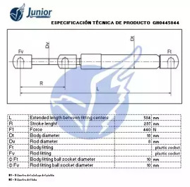 junior gh0445844