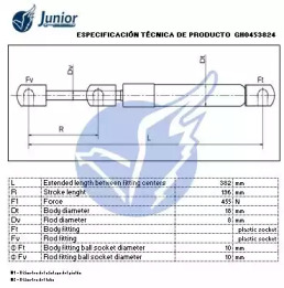 junior gh0453824