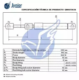 junior gh0473634