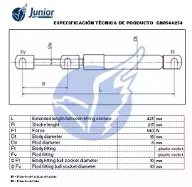 junior gh0544254