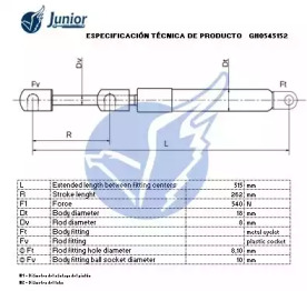 junior gh0545152